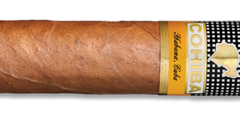 Cohiba Robusto Top 4 2019